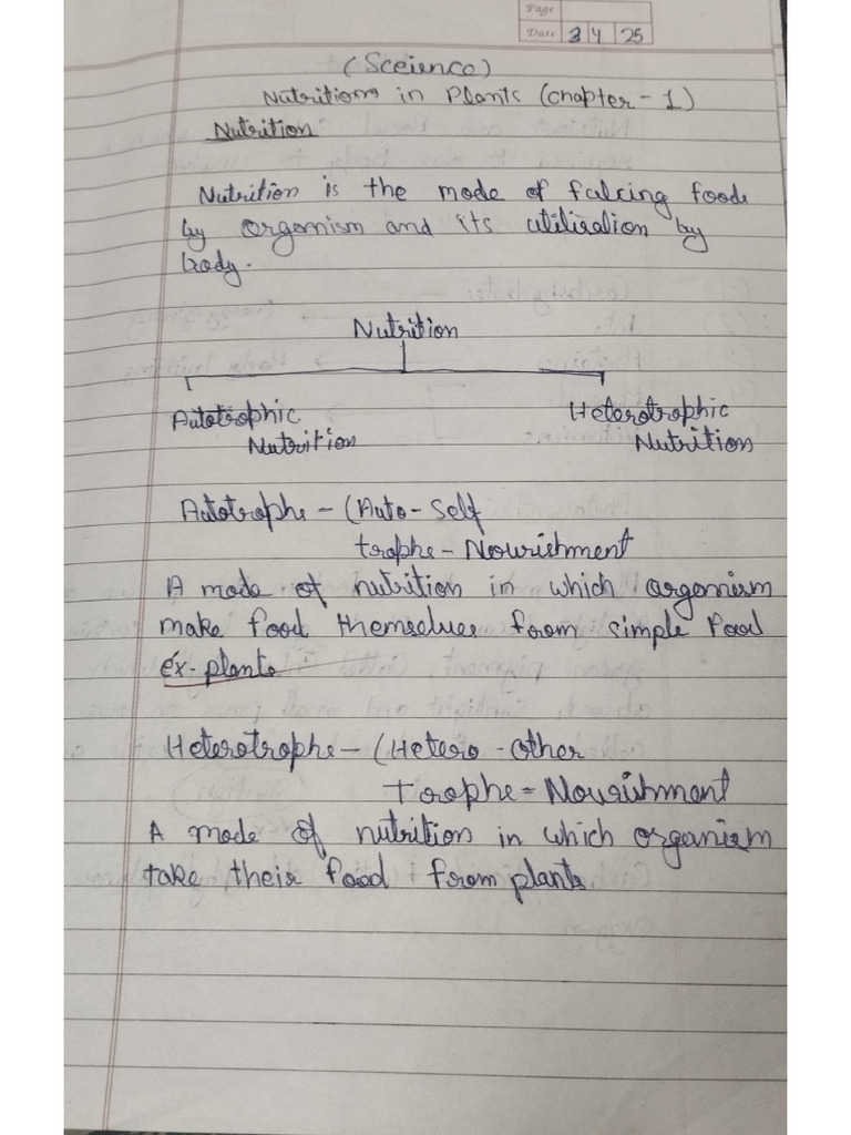 Science CH 1 | PDF