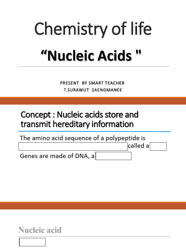 Chemistry of Life - Nucleic Acid-Sheet | PDF | Nucleotides | Nucleic Acids