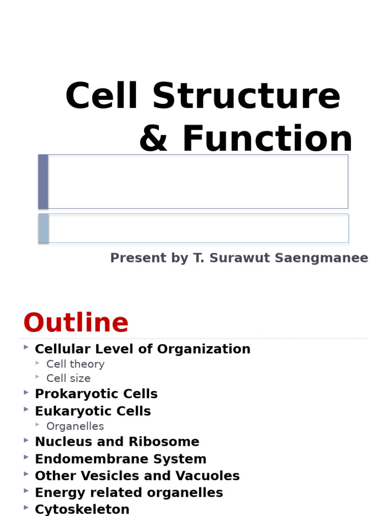 Cell The Structure & Function - 2024 - Part1 | PDF | Cell (Biology ...