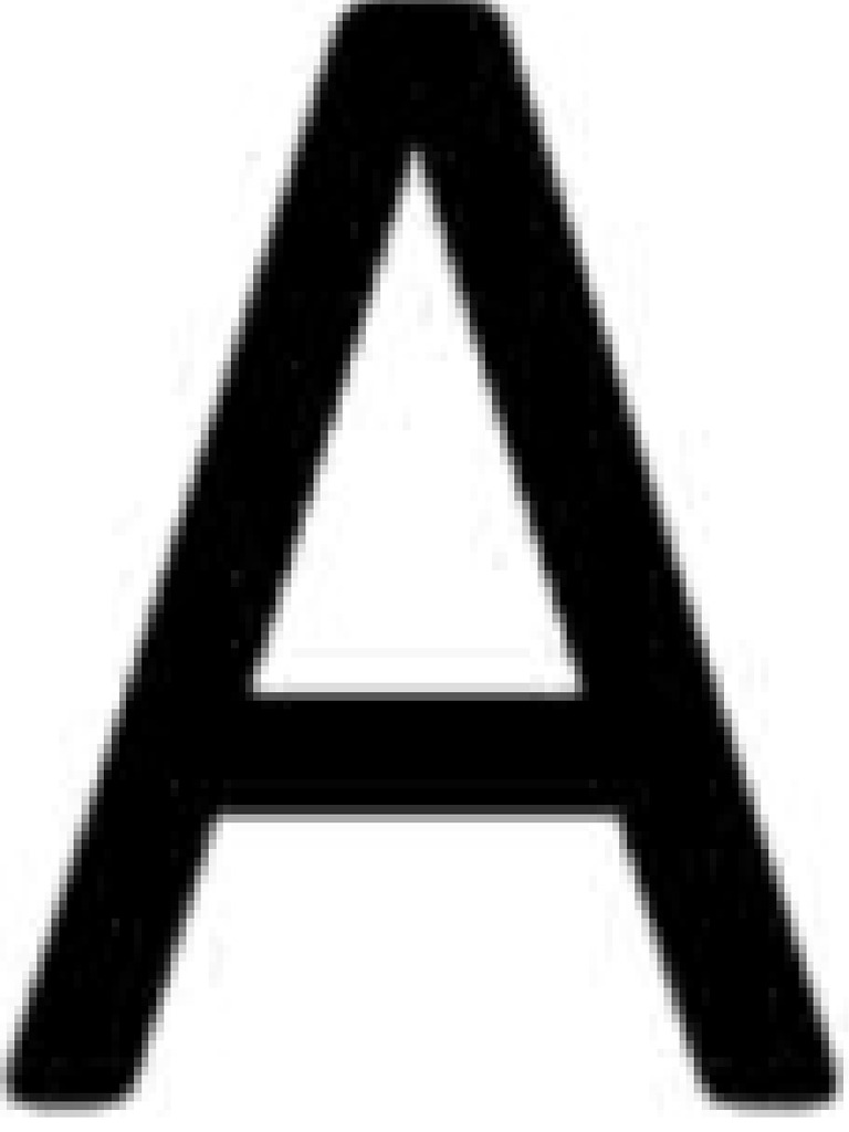 LETRAS EN FORMA CALIBRI | PDF
