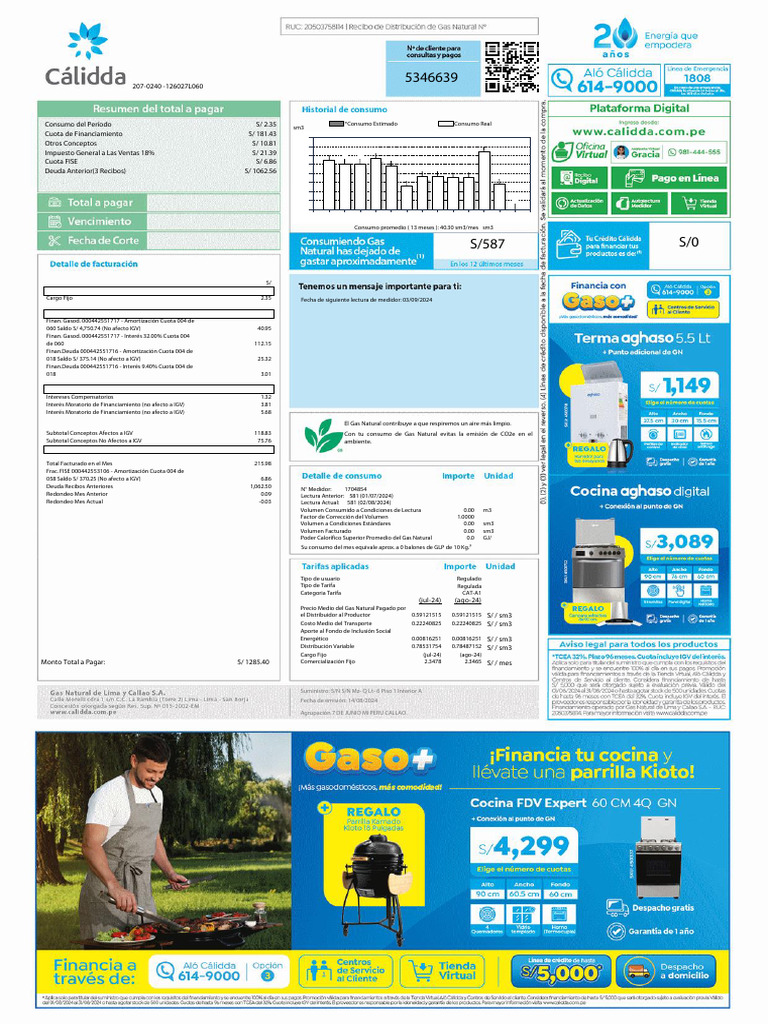Factura de Gas Natural - Consumo y Deuda | PDF | Economias | Gases