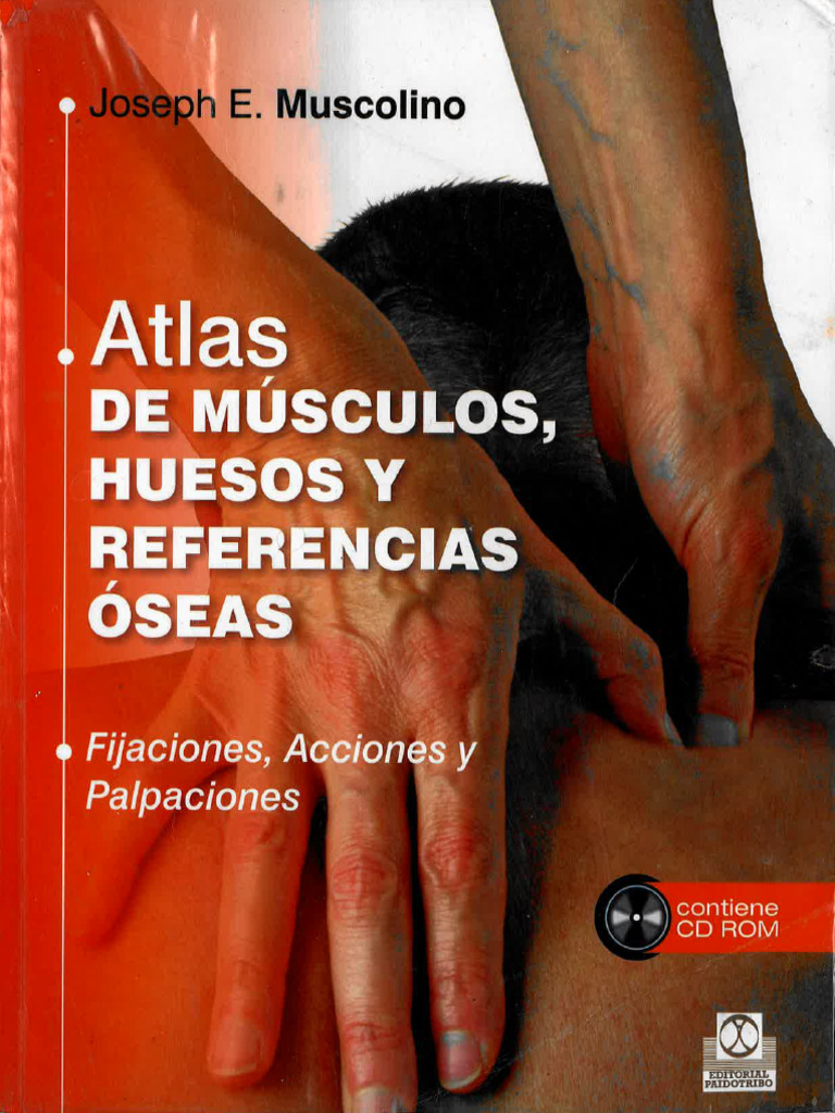 Atlas de Musculos | PDF