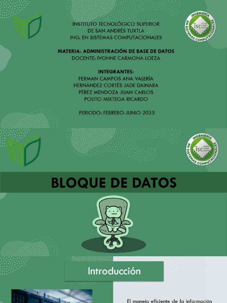 DiapositivaBloqueDeDatos 11zon | PDF