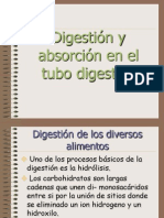 Digestion y Absorcion en El Tubo Digestivo 5