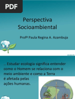 Perspectiva Socioambiental