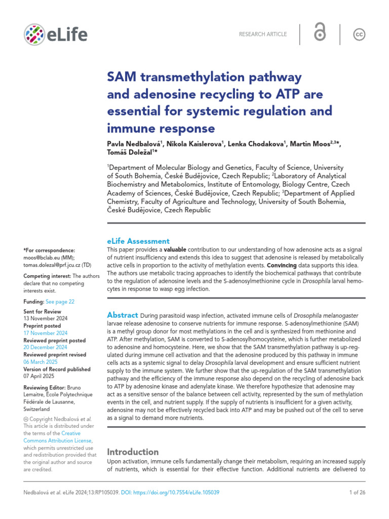 SAM Pathway and Adenosine in Immunity | PDF | Metabolism | Adenosine ...