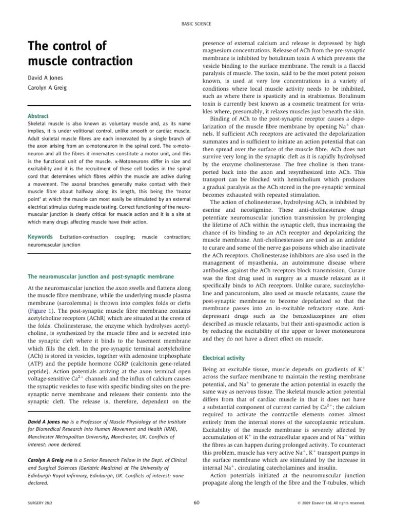 Muscle Contraction Control Mechanisms | PDF | Acetylcholine ...