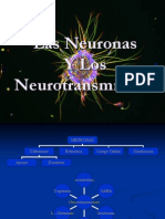 NeuronasyNeurotransmisores