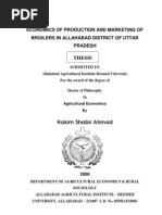 Download Theses Shabir by hakimshabir123 SN86777693 doc pdf