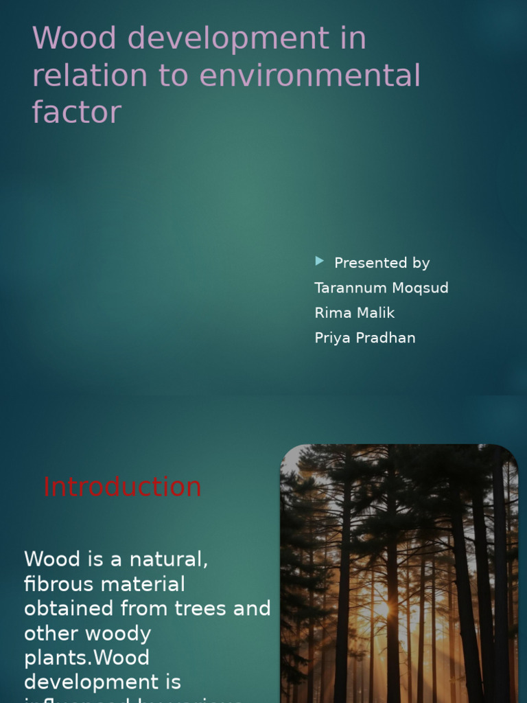Environmental Factors in Wood Development | PDF | Wood | Soil