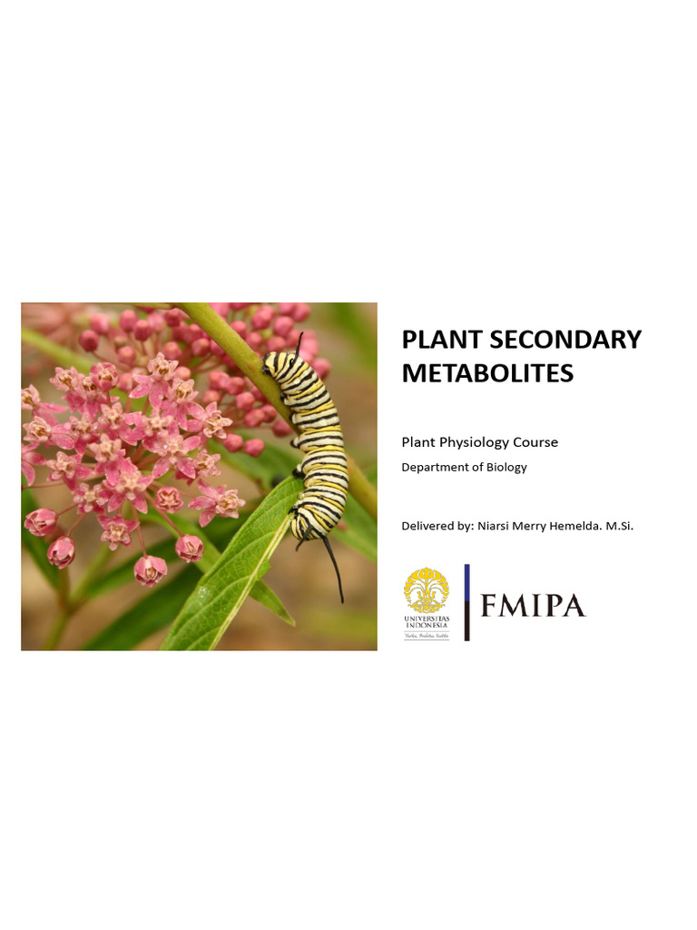 Plant Secondary Metabolites Overview | PDF | Polyphenol | Steroid