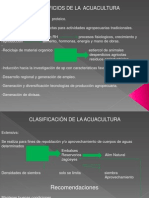 Diapositiva Clase 3 Asapectos Productivos Acuacultura