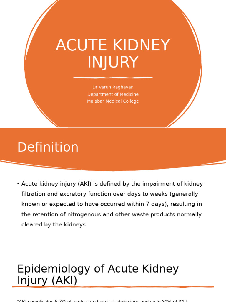 Understanding Acute Kidney Injury (AKI) | PDF | Kidney | Kidney Disease