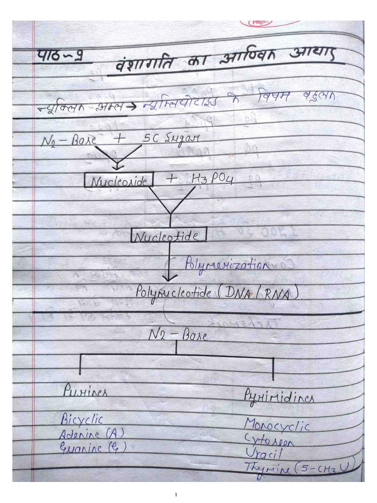 BOARD NOTES वंशागति का आण्विक आधार | PDF
