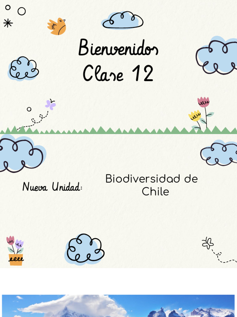 Zonas Naturales de Chile y Biodiversidad | PDF | Chile | Clima