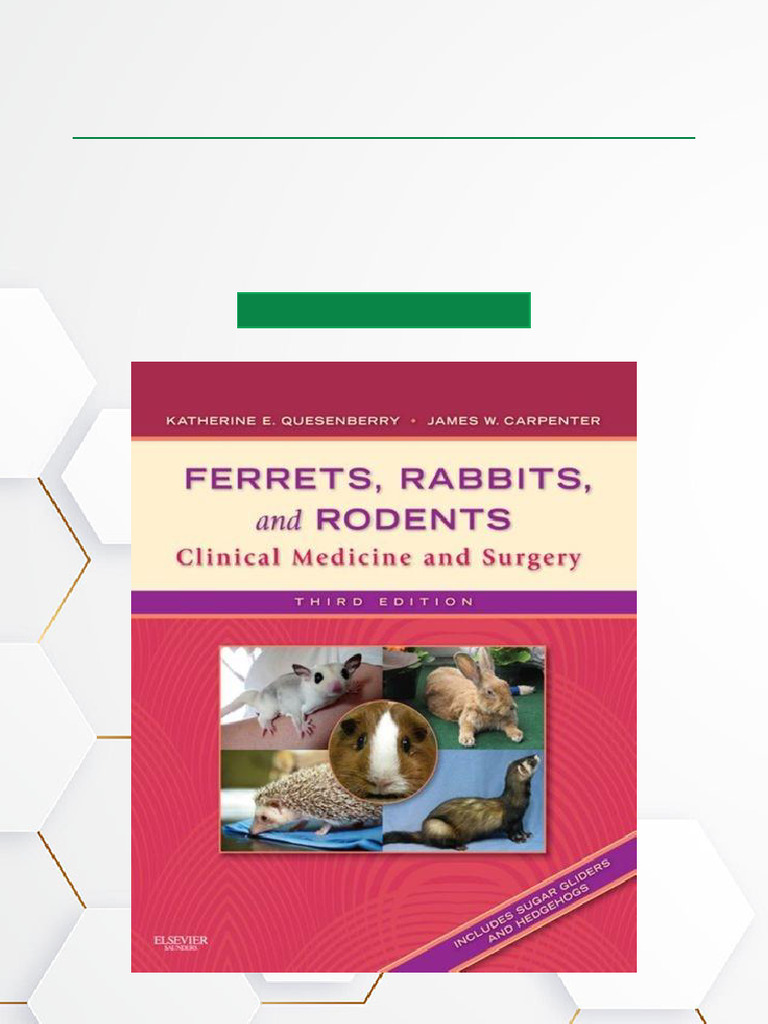 Ferrets, Rabbits, and Rodents Handbook | PDF | Stomach | Liver
