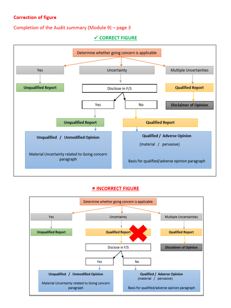 Audit Summary Correction: Going Concern Analysis | PDF
