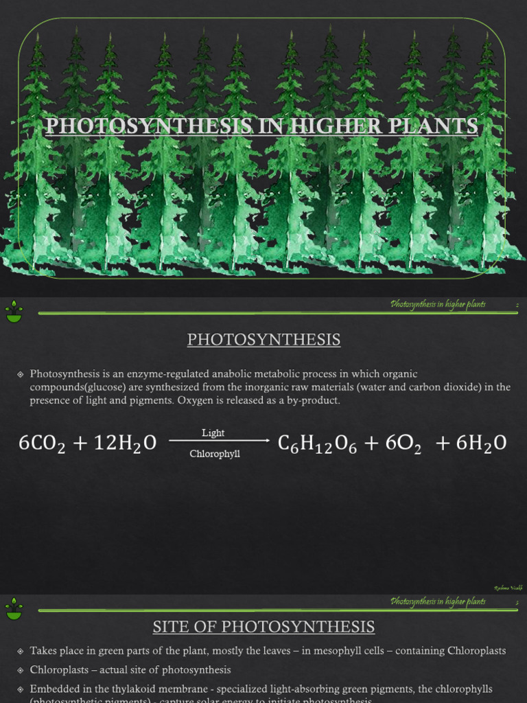 Photosynthesis in Higher Plants (Autosaved) | PDF | Photosynthesis | Plants
