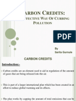 Carbon Credits Presentation by Sarita