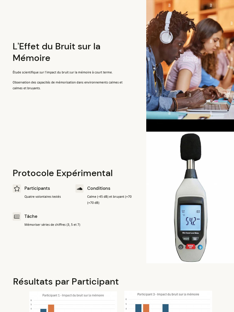 Impact du Bruit sur la Mémoire | PDF | Mémoire | Bruit