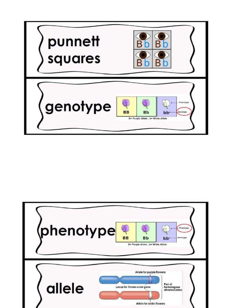 Flash Cards-Environmental Impact | PDF