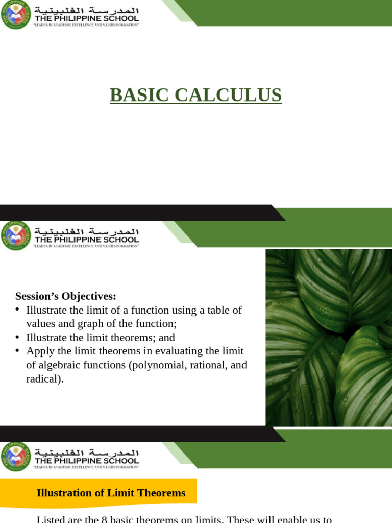 Understanding Basic Calculus Limits | PDF