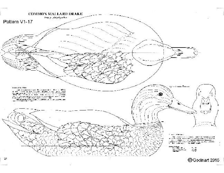 Duck Carving | PDF