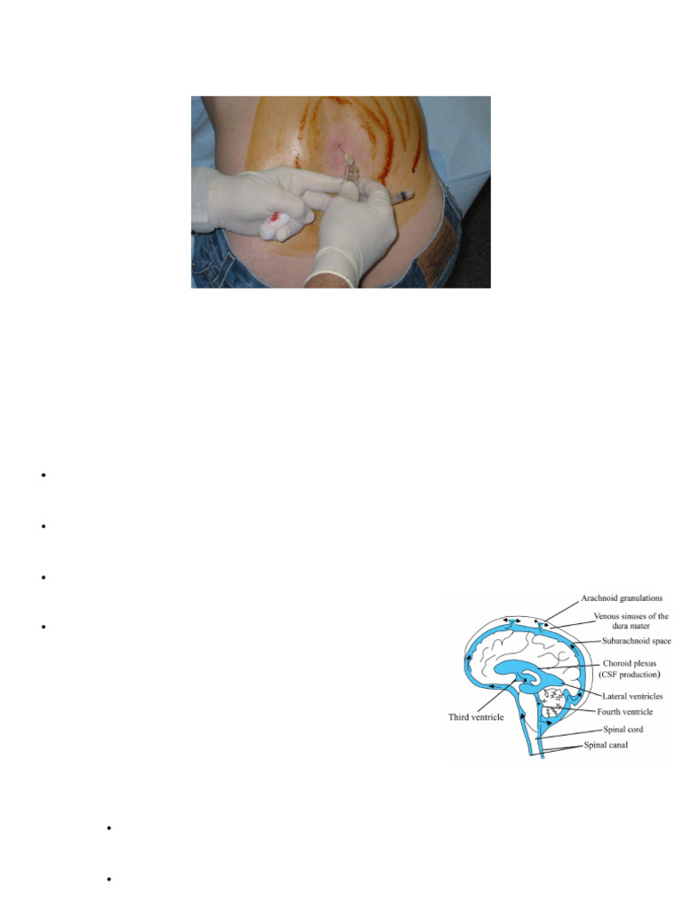Cerebrospinal Fluid (CSF) Analysis Guide | PDF | Cerebrospinal Fluid ...