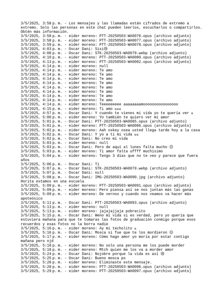 Chat de WhatsApp Con Oscar Dani | PDF