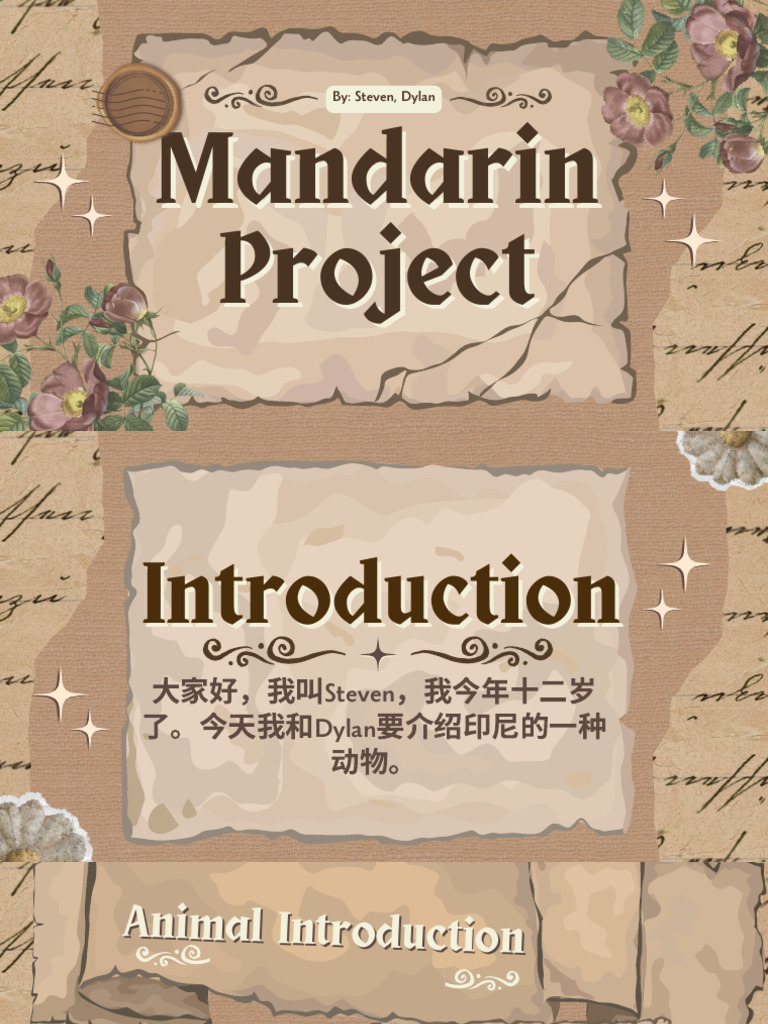 Mandarin Project | PDF