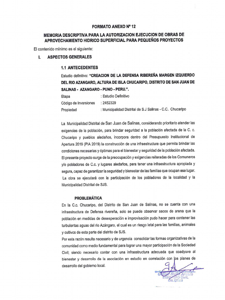 Formato 12 Salinas | PDF