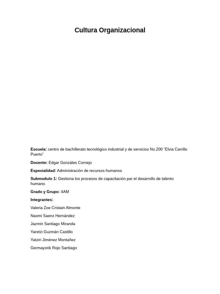 Cultura Organizacional | PDF | Sustentabilidad | Industria textil