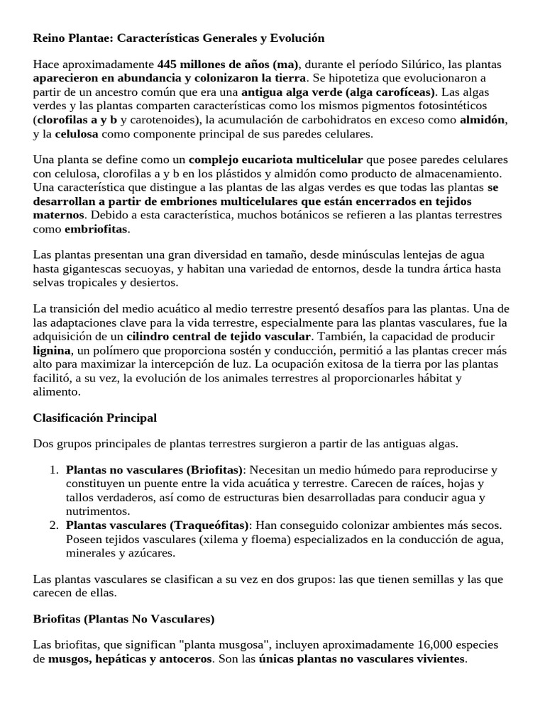 DOMINIO EUKARYA - Reino Plantae | PDF | Plantas | Musgo