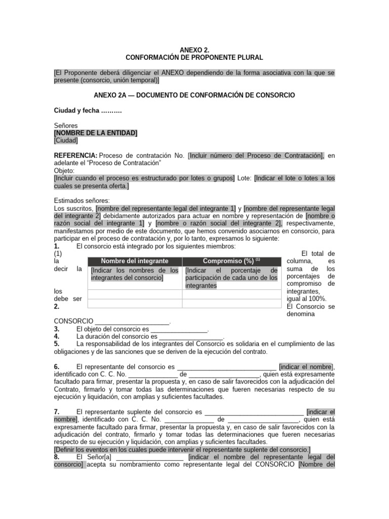 Anexo 2. Conformacion de Proponente Plural C | PDF