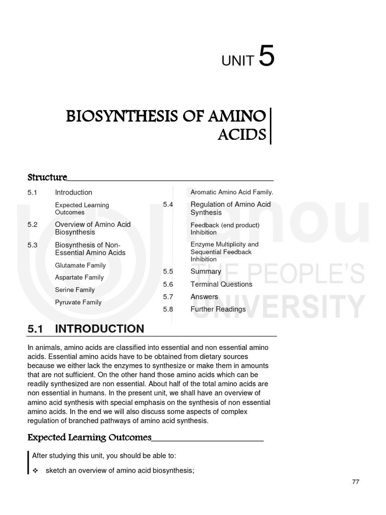 Amino Acid Biosynthesis Overview | PDF | Biosynthesis | Amino Acid