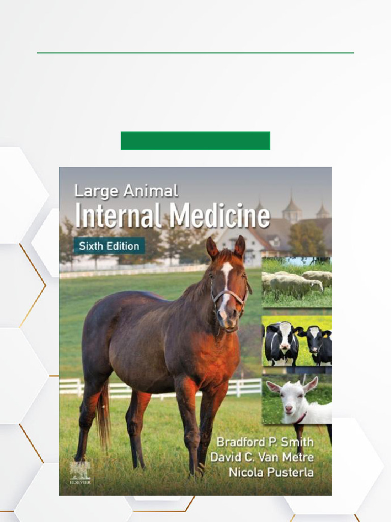 VETERINARY INTERNAL MEDICINE 第9版(最新版) Ettinger's Textbook of Veterinary Internal Medicine, 9th