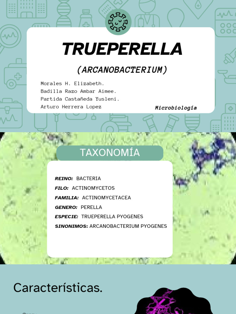 Trueperella pyogenes: Patogenicidad y Enfermedades | PDF | Infección ...