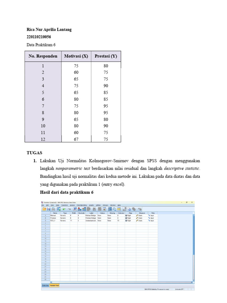 Uji Normalitas Data | PDF