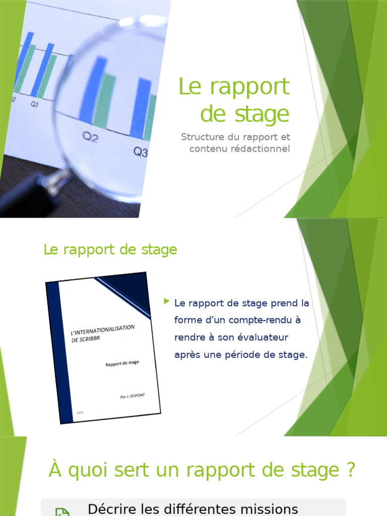 Structure d'un rapport de stage | PDF