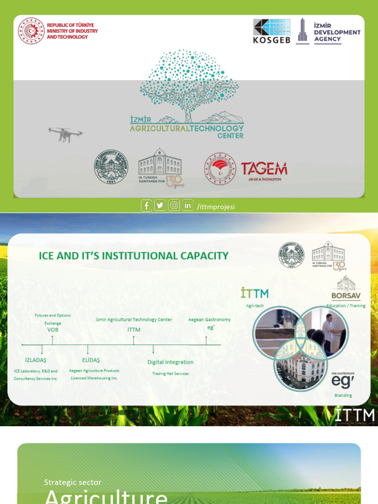 İTTM EN (2)_compressed | PDF | Agriculture | Entrepreneurship