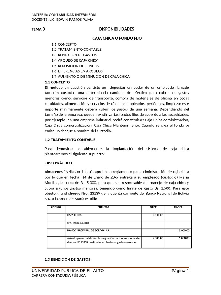Caja Chica: Tratamiento Contable y Arqueo | PDF | Contabilidad | Cheque
