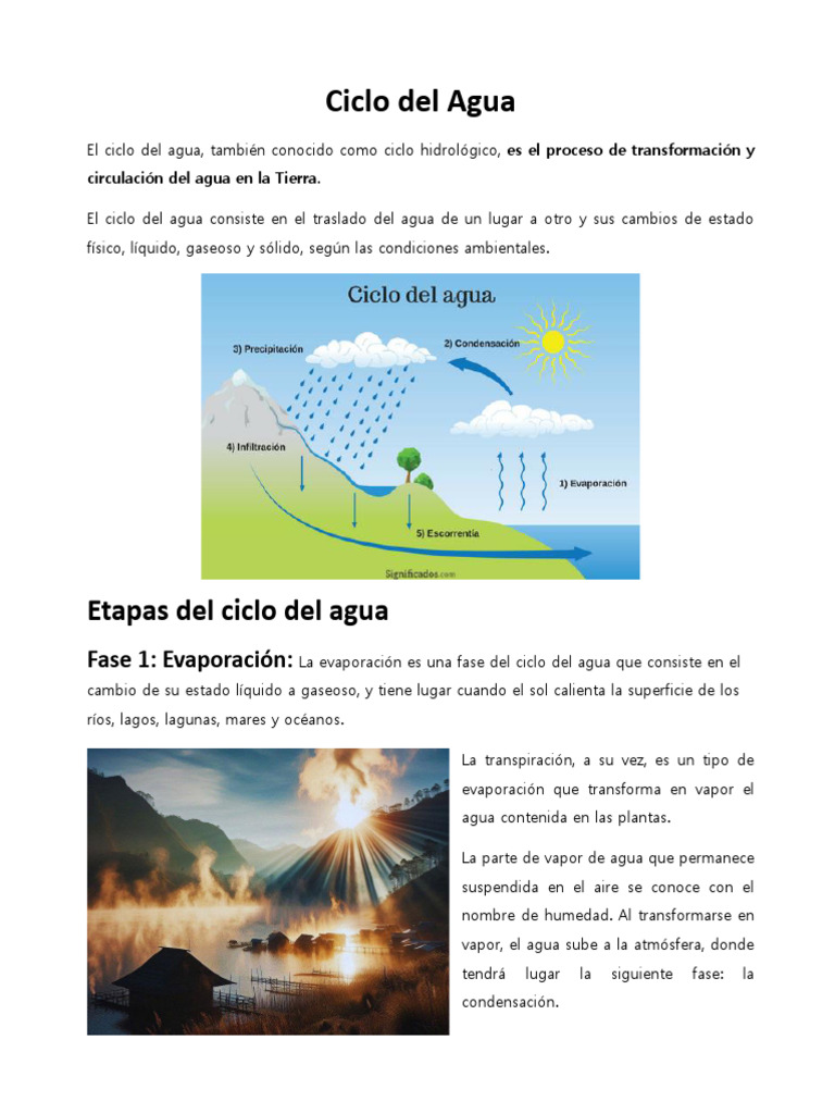 Etapas del Ciclo del Agua Explicadas | PDF | El ciclo del agua | Agua