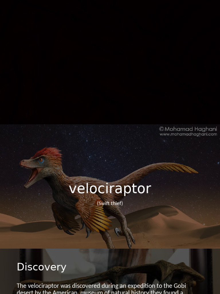 Velociraptor: Characteristics and Relatives | PDF