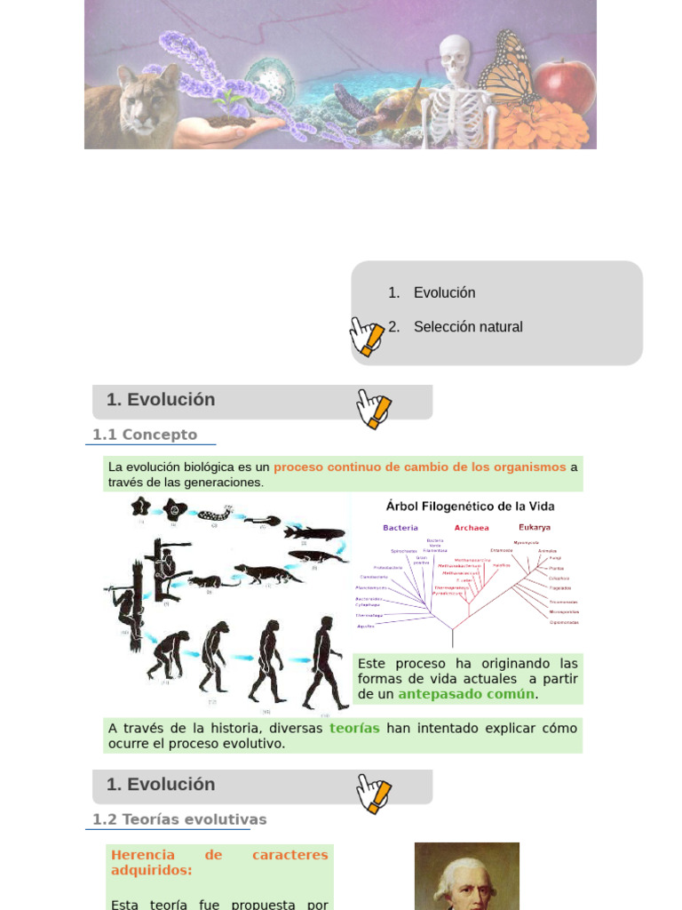 Teorías y Evidencias de la Evolución | PDF | Evolución | Seleccion natural
