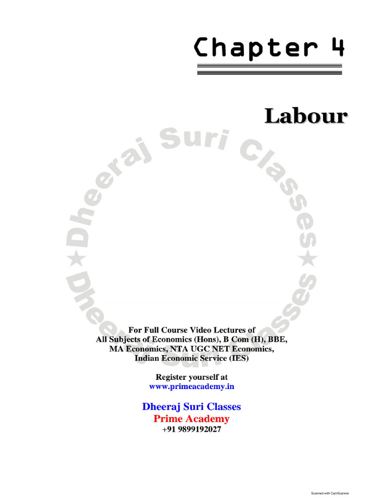 Chapter 4 Labour | PDF