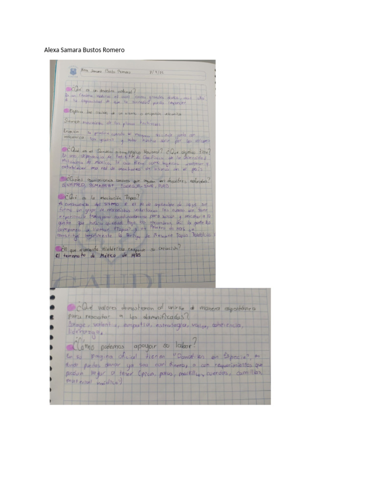 Actividad 4 | PDF