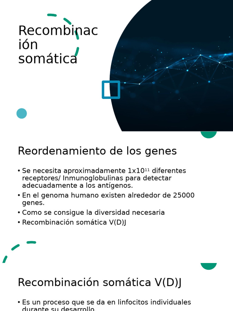 Recombinación Somática en Inmunología | PDF | Anticuerpo | Biología