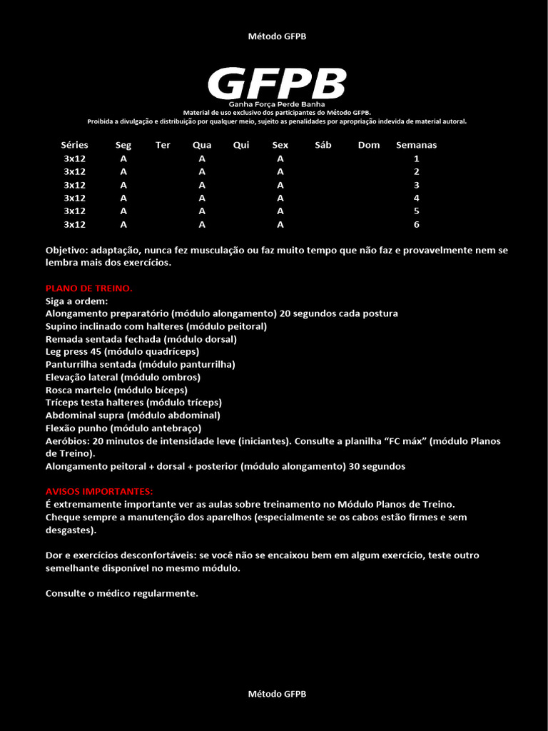 Plano de Treino Iniciante Método GFPB | PDF