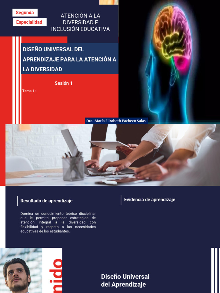 DUA 3.0: Estrategias para la Diversidad | PDF | Aprendizaje | Plan de ...