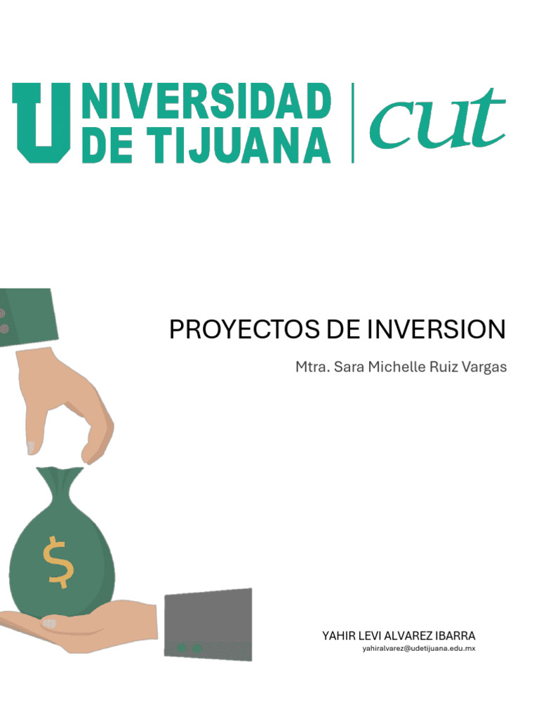 Proyectos de Inversión: Definición y Alcance | PDF | Inversiones ...